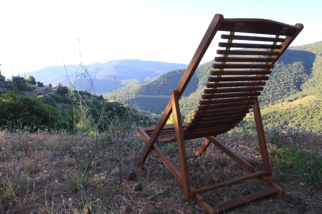 Gites-Terroirs-Occitanie Felluns Bagian luar foto